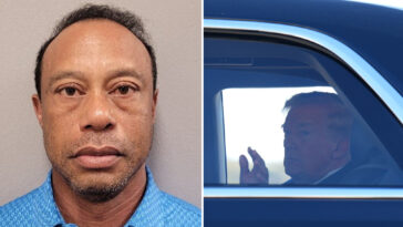 trump-family-relieved-that-trained-agents-–-not-tiger-–-drive-president’s-grandkids