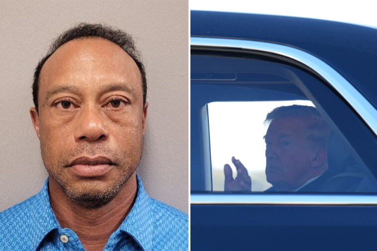 trump-family-relieved-that-trained-agents-–-not-tiger-–-drive-president’s-grandkids