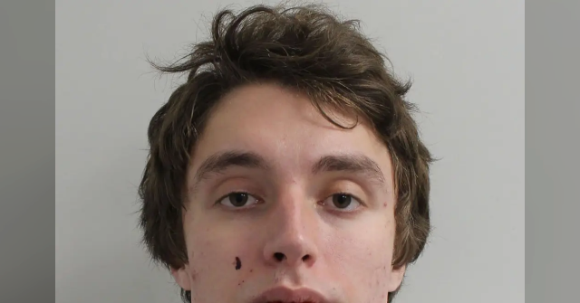 london-man-who-assaulted-girlfriend-during-video-call-with-barron-trump-sentenced-to-prison