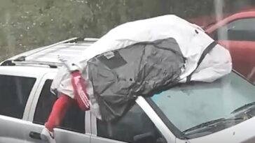 florida-man-uses-his-body-as-shield-against-hailstorm-in-wild-video:-‘yes,-it-hurt’