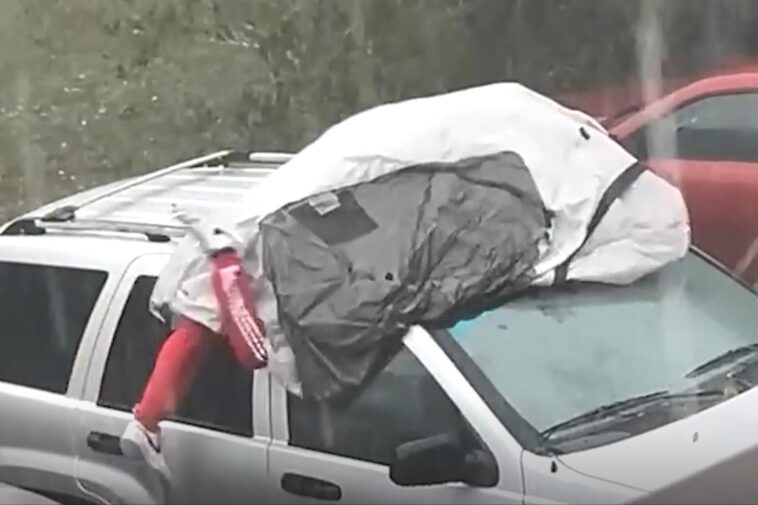 florida-man-uses-his-body-as-shield-against-hailstorm-in-wild-video:-‘yes,-it-hurt’