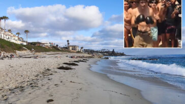 violent-teen-‘fight-club’-on-socal-beach-draws-hordes-of-bloodthirsty-spectators