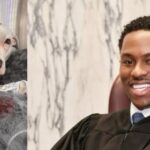 youngest-judge-in-pennsylvania-history-under-investigation-after-shooting-10-month-old-puppy-that-got-loose-while-family-was-searching-for-her
