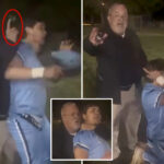 cop-bashes-high-school-baseball-player-in-the-head-with-taser-in-front-of-outraged-crowd:-‘what-the-f–k’s-wrong-with-you?’
