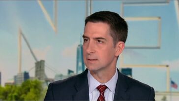 senator-tom-cotton-blasts-democrats-for-not-funding-dhs-–-(video)