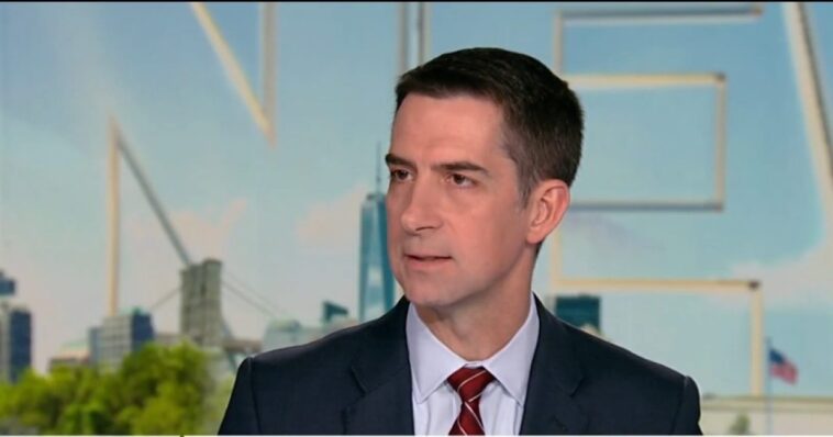 senator-tom-cotton-blasts-democrats-for-not-funding-dhs-–-(video)