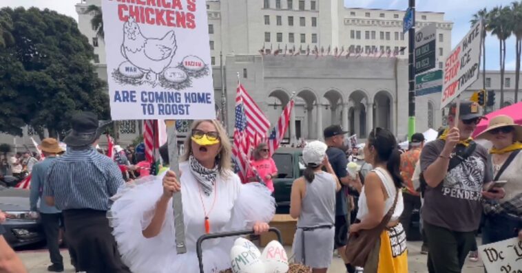 hilarious-video:-unhinged-liberal-woman-clucks-and-wears-full-chicken-costume-at-‘no-kings’-los-angeles-to-protest-president-trump