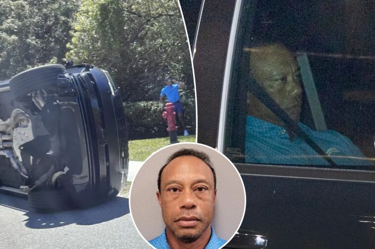 tiger-woods-should-quit-after-latest-dui-crash,-brandel-chamblee-says:-‘why-would-he-need-to-play-golf-anymore?’