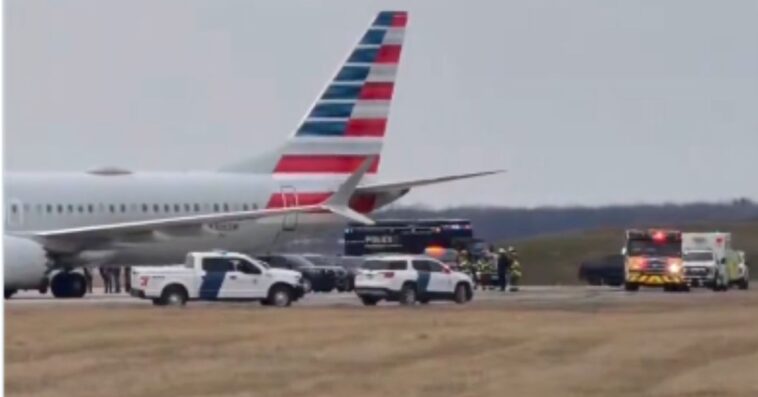 fbi-agents-swarm-isolated-american-airlines-jet-at-detroit-metro-airport-after-‘disruptive-customer’-forces-diversion-of-nyc-to-chicago-flight-(video)