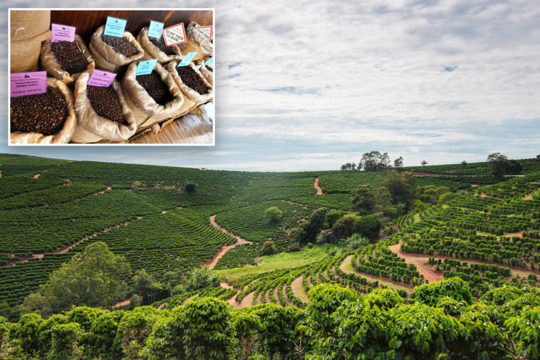 the-price-of-coffee-is-skyrocketing-faster-than-all-other-groceries-—-and-the-reason-goes-way-beyond-tariffs