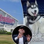 uconn-teams-leave-connecticut-furniture-store’s-bold-promotion-two-wins-away-from-paying-out