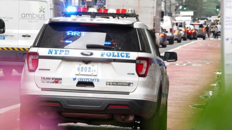 deciphering-new-york’s-persistent-violence-and-public-disorder