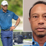 tiger-woods-appears-to-be-making-a-profit-thanks-to-latest-mugshot