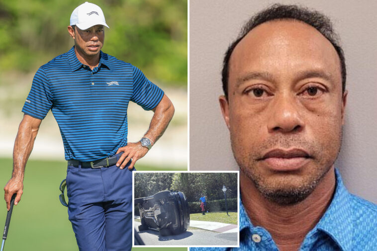tiger-woods-appears-to-be-making-a-profit-thanks-to-latest-mugshot