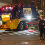 19-year-old-killed-by-garbage-truck-while-crossing-street-in-nyc