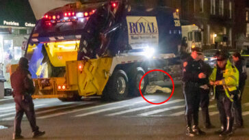 19-year-old-killed-by-garbage-truck-while-crossing-street-in-nyc