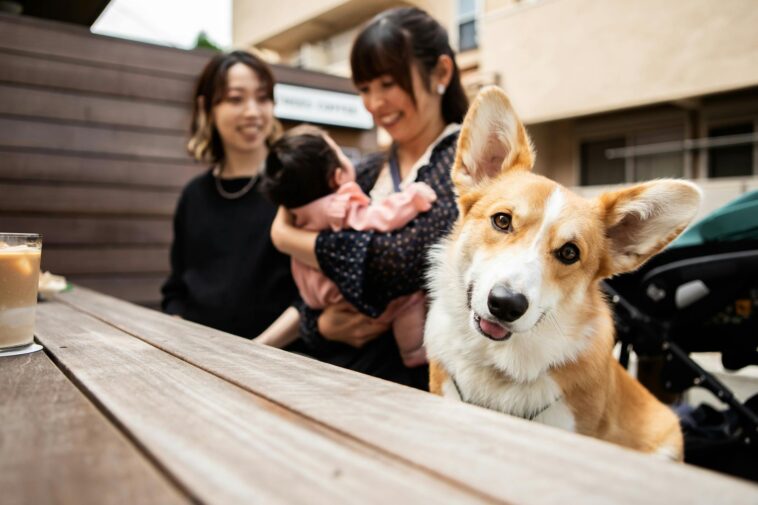 the-‘fur-baby’-life-comes-with-a-truth-most-people-don’t-want-to-admit