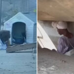 tragic-past-of-la-woman-living-in-squalid-sewer-—-as-her-family-reveals-her-downfall