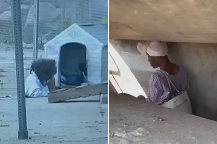 tragic-past-of-la-woman-living-in-squalid-sewer-—-as-her-family-reveals-her-downfall