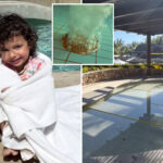girl,-3,-has-intestines-ripped-out-in-freak-pool-drain-accident-—-and-miraculously-survives