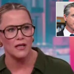 cnn-panelist-se.-cupp-tees-off-on-gavin-newsom:-‘i-don’t-like-him’