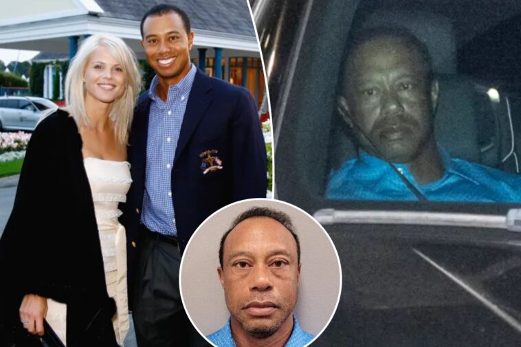 tiger-woods’-ex-wife-elin-nordegren-‘concerned’-after-latest-dui-arrest