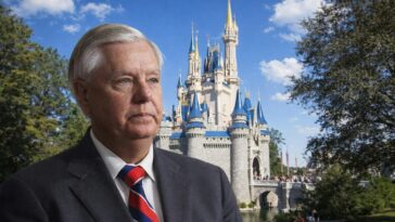 meet-senator-lindsey-graham,-the-saddest-disney-adult