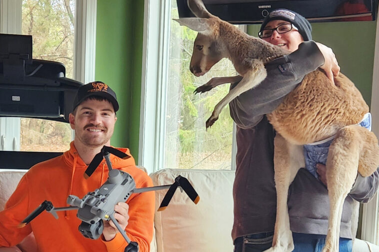 denim-diaper-wearing-kangaroo-found-safe-and-sound-three-days-after-daring-escape-from-wisconsin-zoo