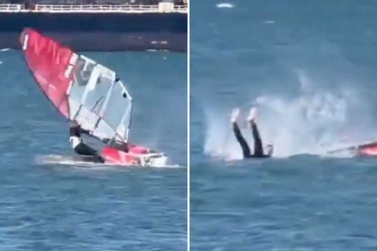 windsurfer-collides-with-whale-in-unbelievable-video