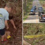 children-find-human-skull-while-playing-near-south-carolina-creek,-authorities-unearth-50-more-bones