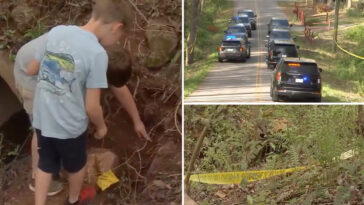 children-find-human-skull-while-playing-near-south-carolina-creek,-authorities-unearth-50-more-bones