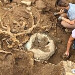 first-of-its-kind-wagon-evidence-uncovered-in-massive-iron-age-treasure-trove