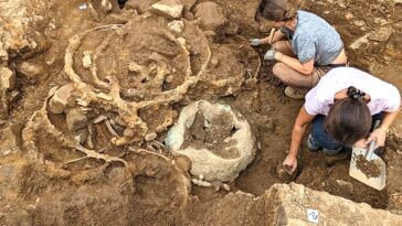 first-of-its-kind-wagon-evidence-uncovered-in-massive-iron-age-treasure-trove