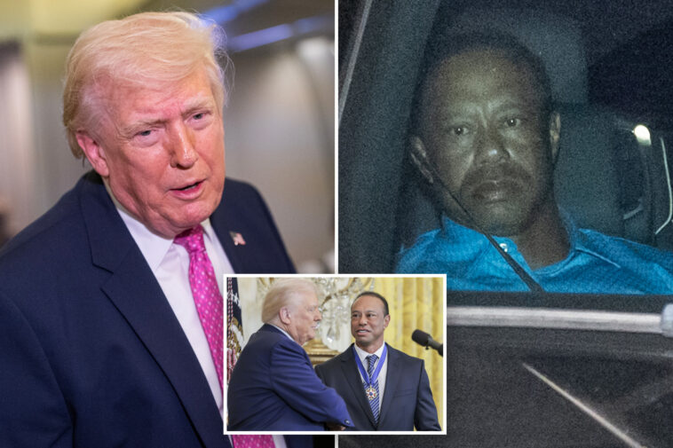 trump-weighs-in-on-tiger-woods’-florida-rollover-dui-crash,-tells-the-post-vanessa’s-boyfriend-endures-‘a-life-of-pain’