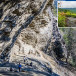 woman,-65,-dies-after-plunging-from-cliff-at-great-smoky-mountains-national-park