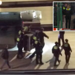 wolf-attacks-woman-in-bustling-german-neighborhood