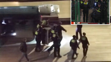 wolf-attacks-woman-in-bustling-german-neighborhood