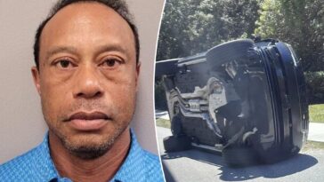 the-dangerous-risks-of-the-pills-found-in-tiger-woods’-pocket-in-dui-arrest