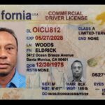 tiger-woods-awarded-honorary-california-cdl