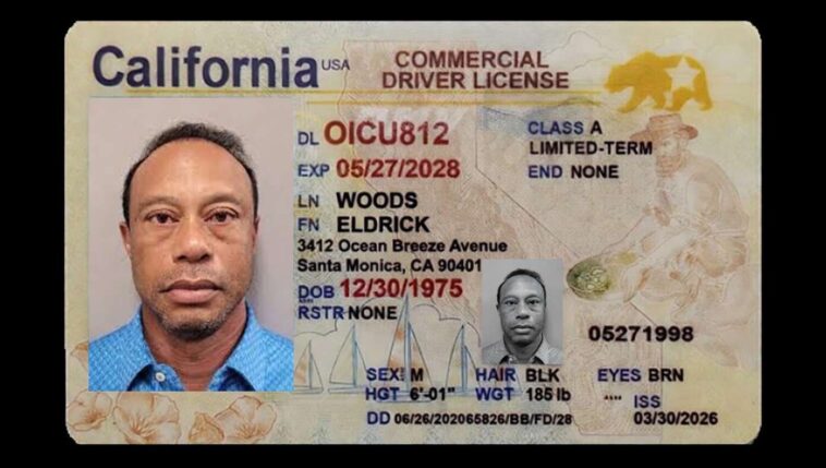 tiger-woods-awarded-honorary-california-cdl