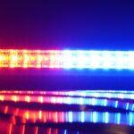 nyc-nutjob-hit-with-animal-cruelty-charges-for-‘stretching’-ex-girlfriend’s-cat-to-death:-da