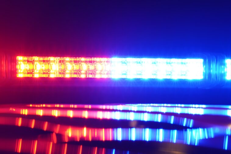 nyc-nutjob-hit-with-animal-cruelty-charges-for-‘stretching’-ex-girlfriend’s-cat-to-death:-da