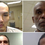 volunteers-count-1,200+-killings-by-migrants-amid-silence-from-agencies,-media