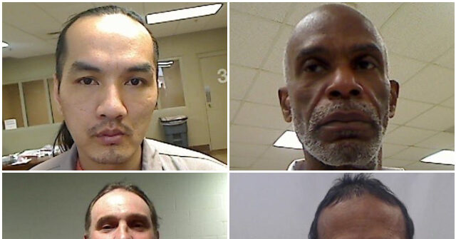 volunteers-count-1,200+-killings-by-migrants-amid-silence-from-agencies,-media