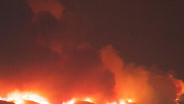 trump-admin-looking-into-insurance-companies’-handling-of-la-fire-claims