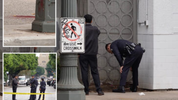 identity-of-homeless-man-who-randomly-stabbed-woman-in-neck-on-dtla-street-revealed
