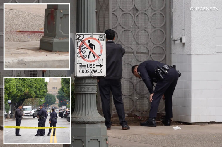 identity-of-homeless-man-who-randomly-stabbed-woman-in-neck-on-dtla-street-revealed