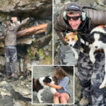 strangers-raised-money-to-save-hiker’s-dog-who-went-missing-for-a-week-in-the-wilderness
