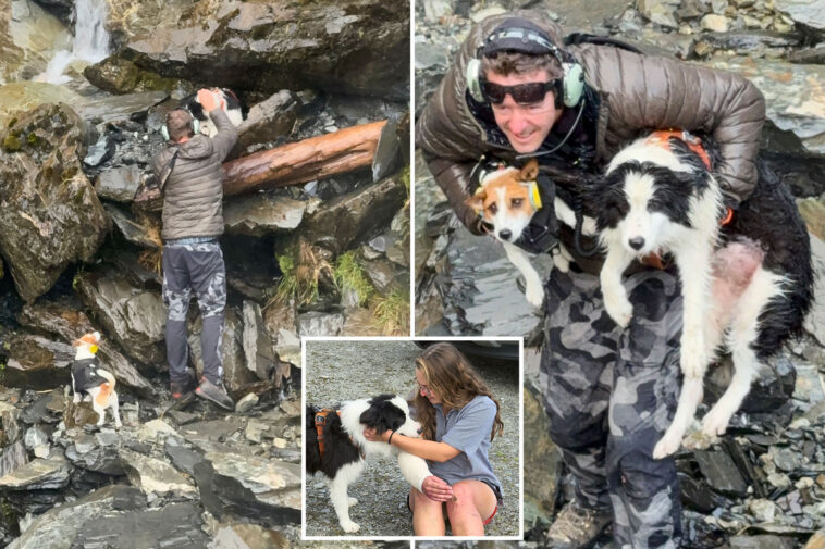 strangers-raised-money-to-save-hiker’s-dog-who-went-missing-for-a-week-in-the-wilderness