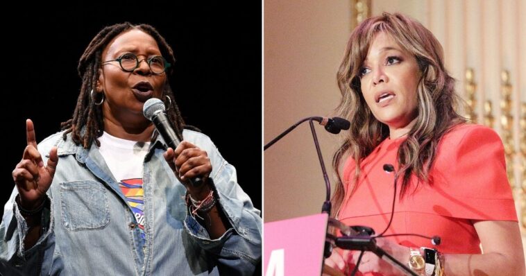 watch:-‘the-view’-co-hosts-melt-down-when-conservative-commentator-encourages-women-to-have-more-kids